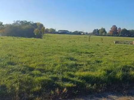vente terrain à la réorthe (85210) : à vendre / la réorthe