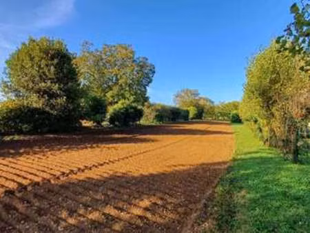 vente terrain à thiré (85210) : à vendre / thiré