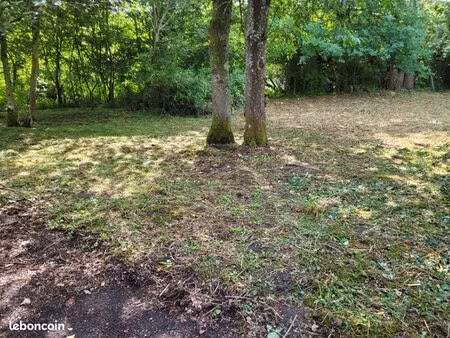 terrain