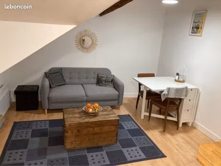 location appartement charmant hyper centre