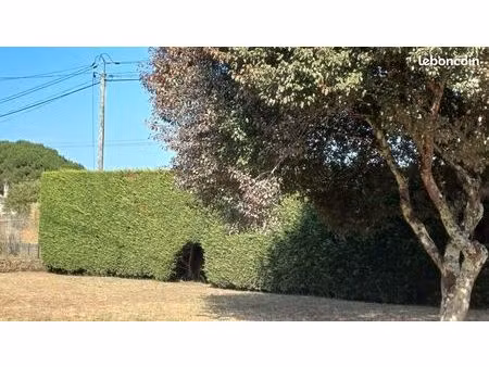 a louer maison t3 750euros