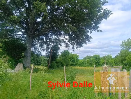 vente terrain 1686 m2 à saint-laurent-de-muret