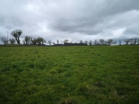 proche du château et de l’étang de corlay   ensemble en pierre de 200 m² sur 3.35 hectares