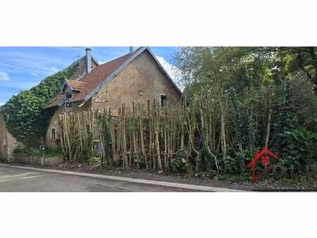 réseau idlr