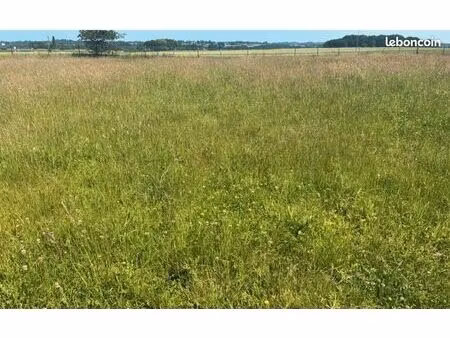 cherche grand terrain constructible