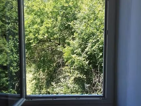t2 40m² avec 100m² de jardin