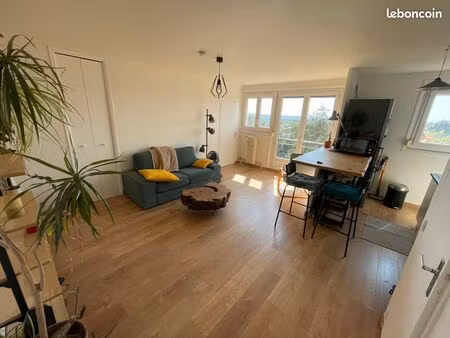 appartement meuble - chantenay/bellevue