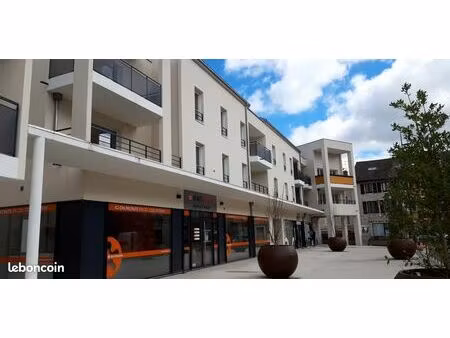 appartement 4 pièces 85 m²