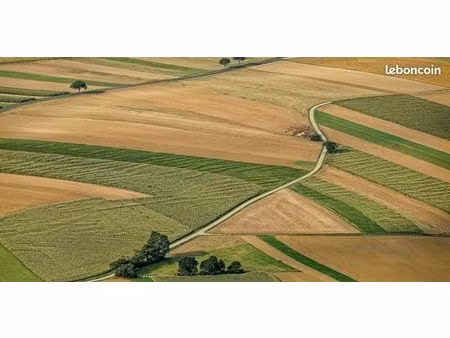 cherche terrain agricole