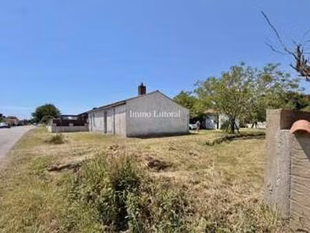 vente maison à sainte-foy (85150) : à vendre / sainte-foy