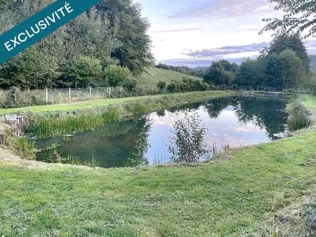 etang de 1000 m2 sur un terrain de 2740 m2