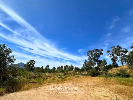 rare en balagne 2 620 m2 constructibles