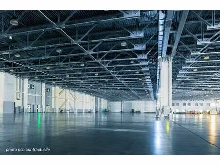 vente local d'activités bourg de péage 1 254 m²