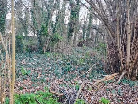 terrain constructible non viabilisé 917 ou 560 m² près de montargis.