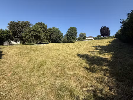 achat terrain 3 174m² celles sur durolle 63250