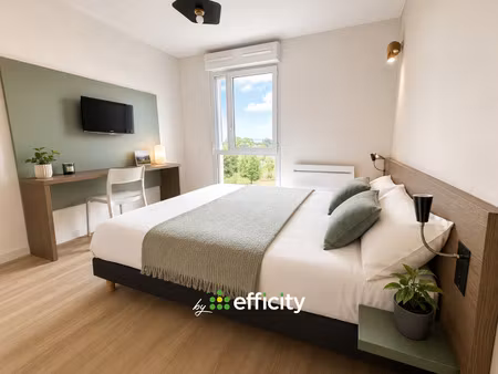 appartement 1 pièce - 20 m²