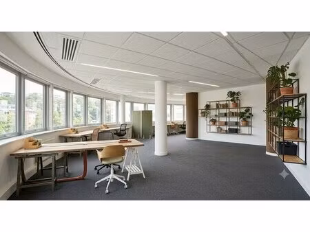 location local professionnel 691m² lyon 9ème