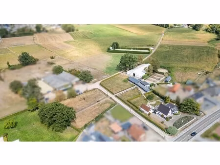 neeroeteren-woning met accommodatie voor (semi)professioneel