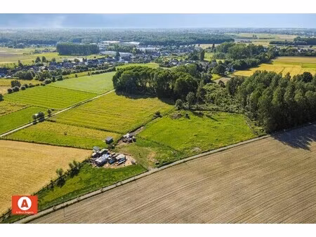landbouwgrond/weiland van 72a 16ca in buggenhout