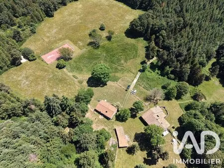 domaine à saint-bonnet-le-château (42380)