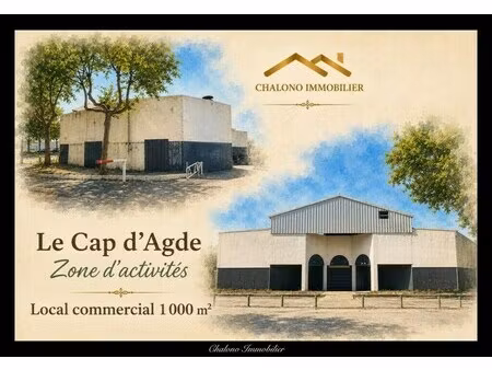 vente commerce le cap d agde 34300 1000m²