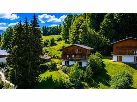 chalet avec vue panoramique et terrain constructible
