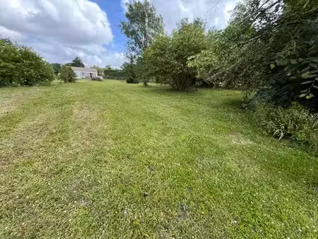 vente terrain 1000 m² mirambeau (17150)
