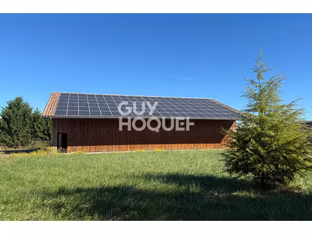 annonce commerce à vendre