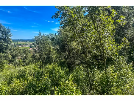 annonce terrain à vendre