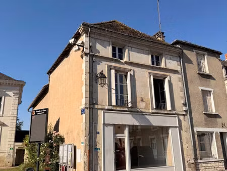 maison preuilly sur claise 8 pièce(s) 201.6 m²
