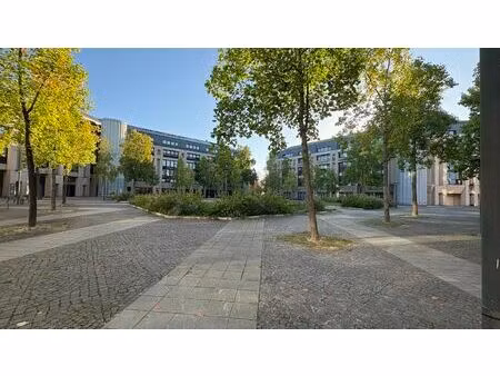 achat local professionnel 359m² orleans 45000
