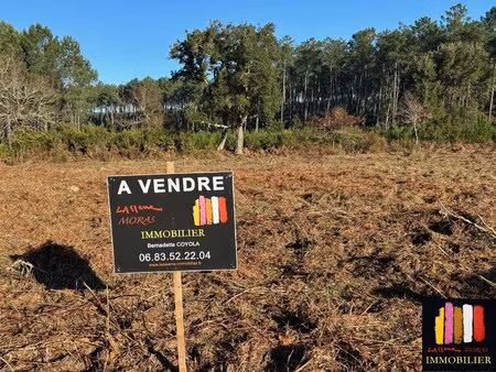 terrain en lotissement