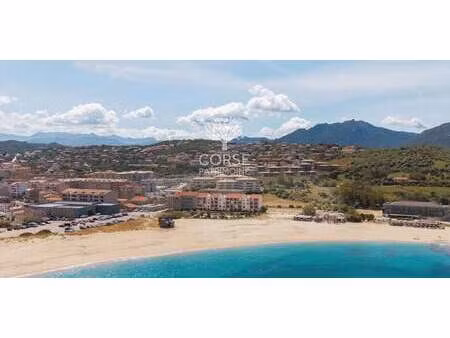 appartement contemporain avec terrasse en bord de mer propriano (2a)