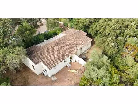 maison avec terrasse san-gavino-di-carbini (2a)