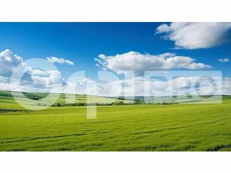 vente terrain boisseuil 87220 2200m²