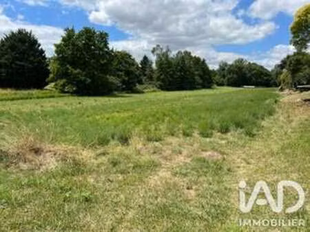 vente terrain à montaut (31410) : à vendre / 3121m² montaut