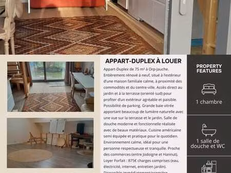 magnifique appart duplex
