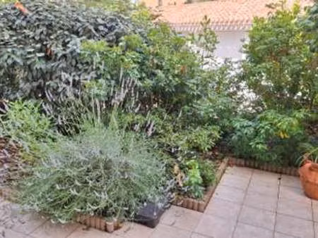 location appartement 2 pièces aux sables-d'olonne (85100) : à louer 2 pièces / 53m² les sa
