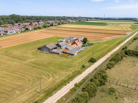 maison à vendre à adinkerke (lpozf) - era domus (diksmuide) | zimmo