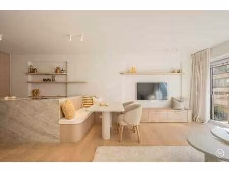 appartement de deux chambres luxueusement rénové  situé dan
