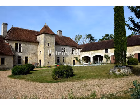 château à vendre à genillé