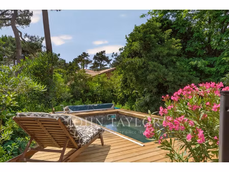 maison de luxe à vendre dans le quartier centre cap ferret