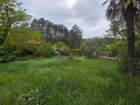 terrain dans un environnement calme