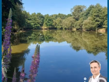 terrain loisirs à sèvremoine (49710)