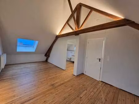 maison de maître entièrement rénovée avec jardin et garage