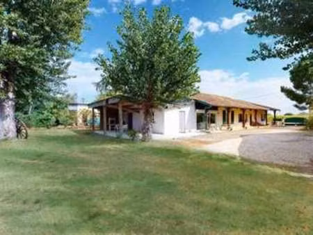location appartement t1 à nègrepelisse (82800) : à louer t1 / 14m² nègrepelisse
