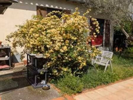 location appartement t1 meublé à toulouse (31000) : à louer t1 meublé / 12m² toulouse