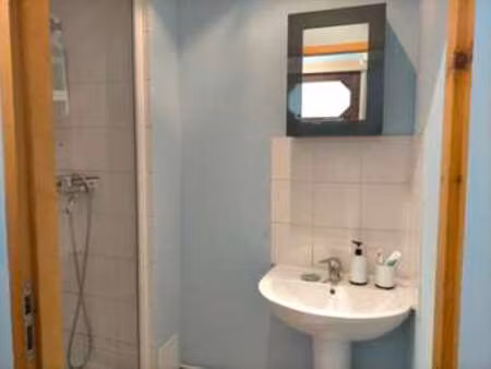 location appartement t1 meublé à lille (59000) : à louer t1 meublé / 13m² lille
