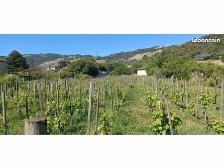 terrain 526 m² cornas