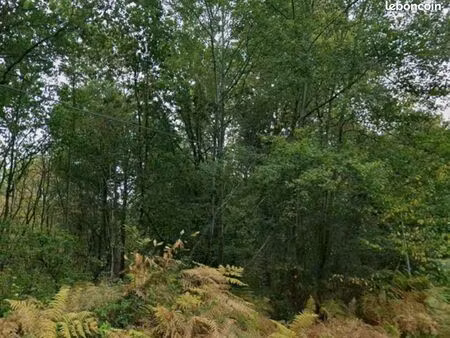 bois 10 hectares un seul tenant dans la double